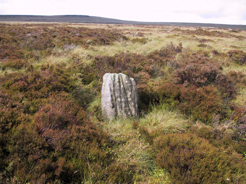 Great Moss Stone - looking north