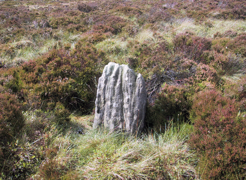 Great Moss Stone - looking NW