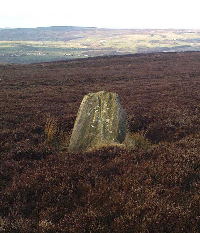 Standing Stone on Green Crag Plain, Ilkley Moor