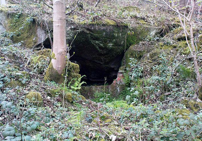 Elm Crag Well, Bell Bank Wood, Bingley