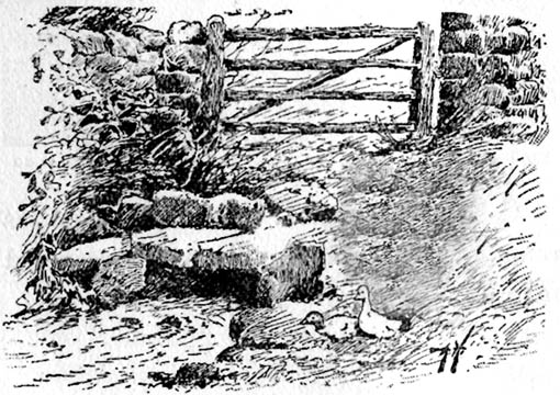 St. Michael's Well, Well (Bogg 1895)