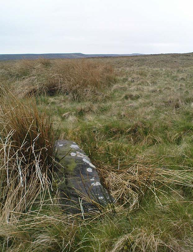 Old Bess Stone, with Crow Hill on the distant skyline