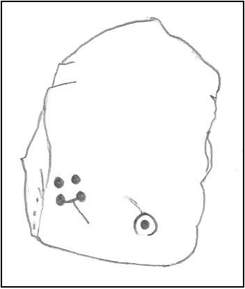 First sketch of the stone