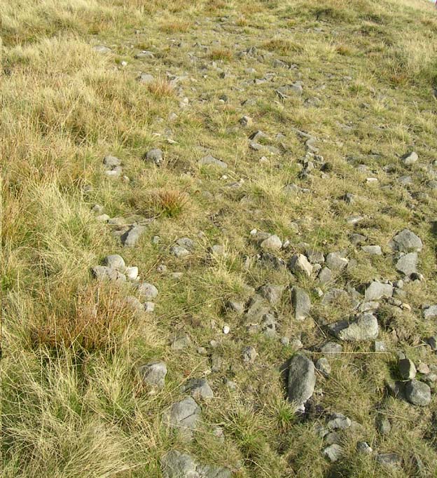 Section of the surface remains, showing thousands of stones