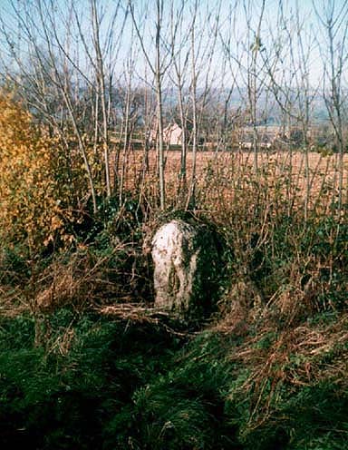 Boulter's Barn standing stone, Churchill (Tom Wilson)