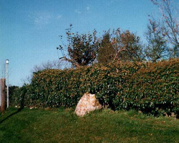 Lidstone monolith