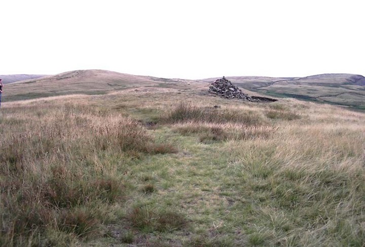 The much-overgrown Lower Apronful, with modern cairn on top