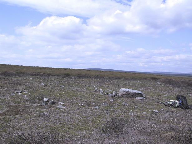 Barely visible remains of walling