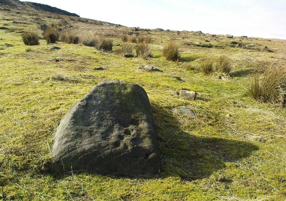 Cupmarked stone west of Coldstone Beck