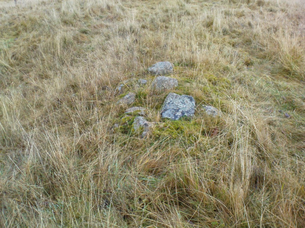 Small overgrown cairn 10 yards away
