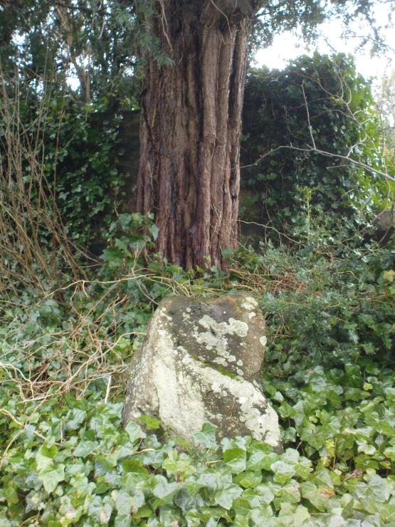 The stone & the yew