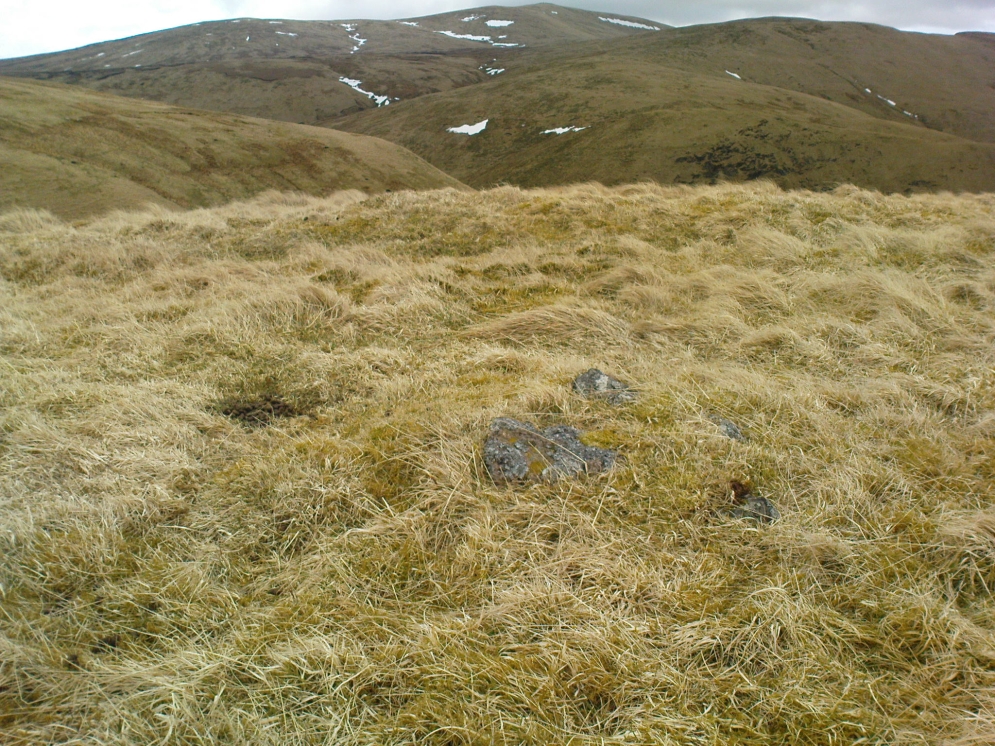 Small cairn inside the enclosure