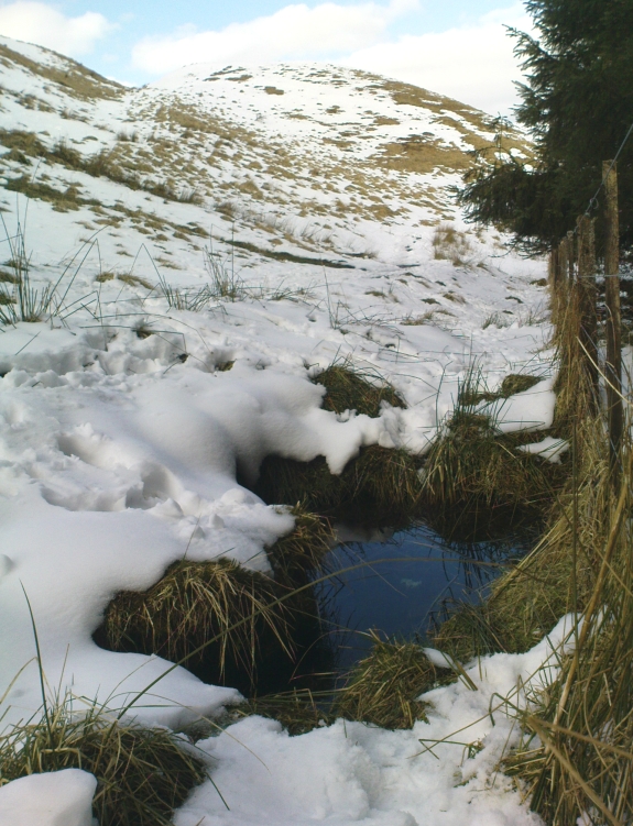 Maiden's Well - and the fairy haunt of Maiden Castle hill behind