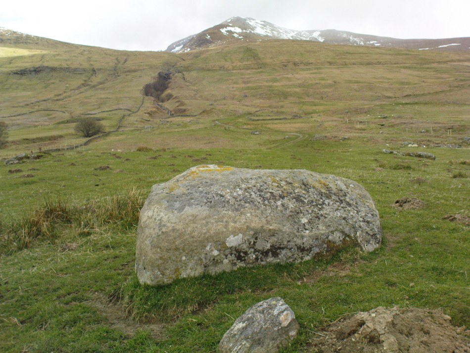 Cup-marked stone, with Ben Lawers to the rear