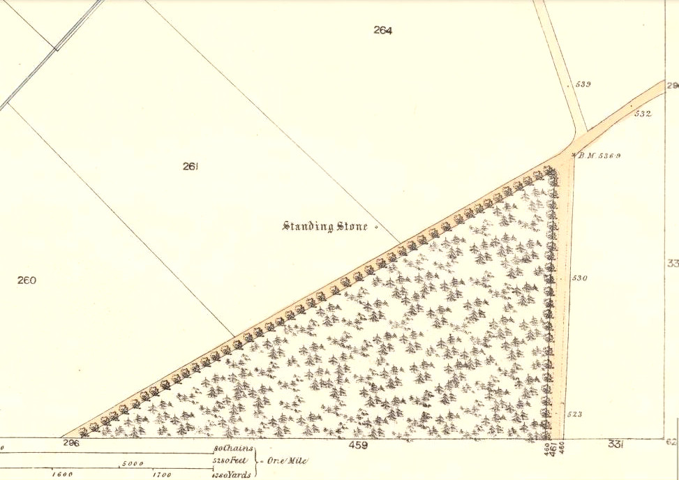 1865 OS-map showing the stone