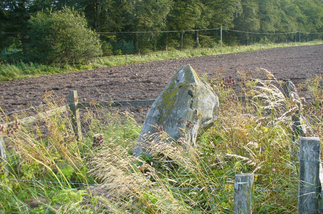 The Caddam stone, looking SW