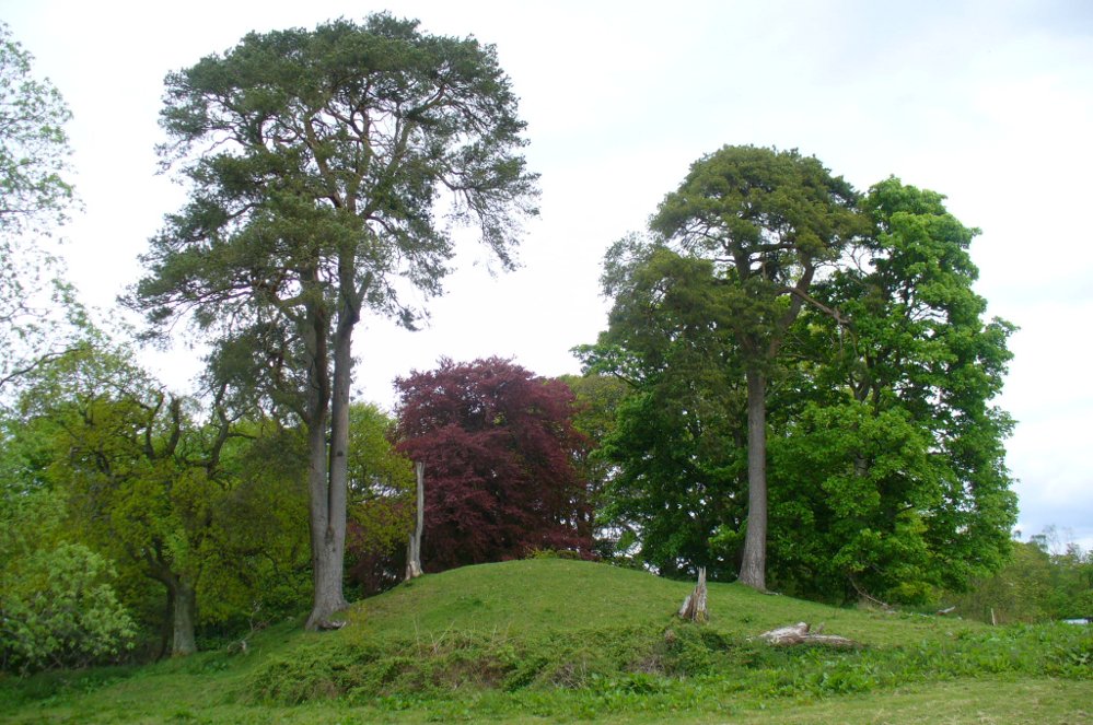 The mound and its trees