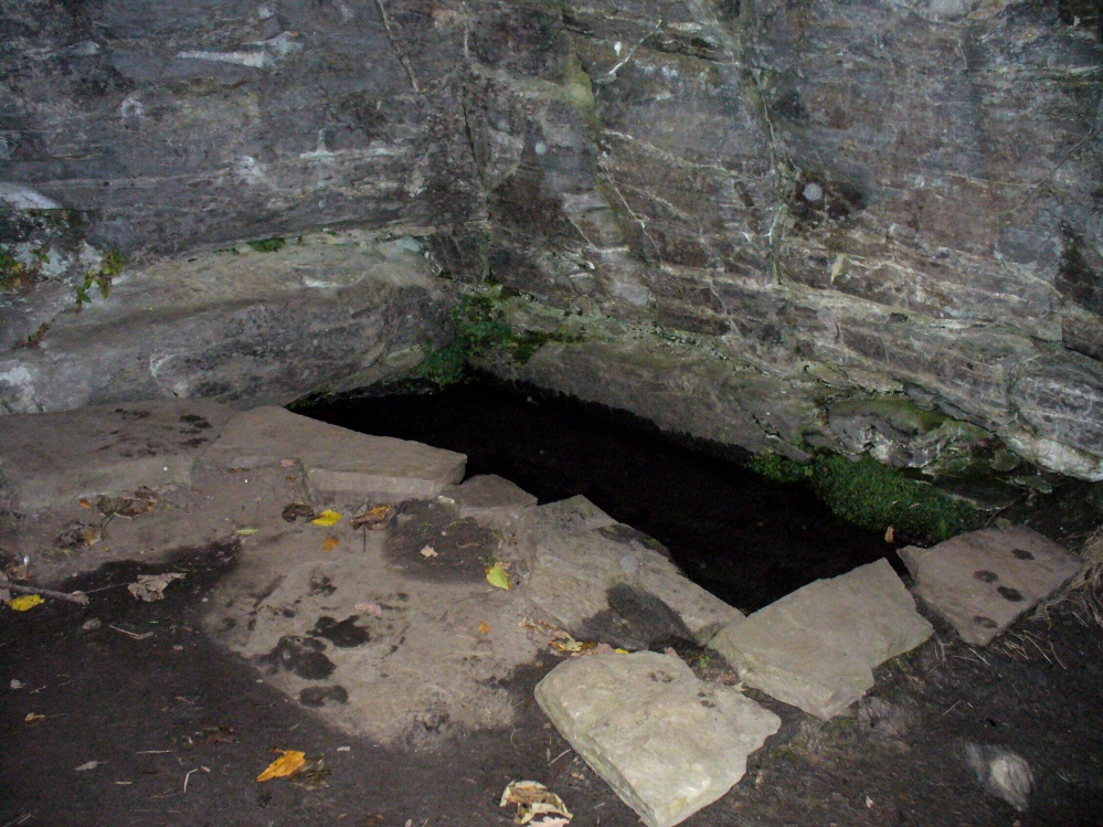 The pool of St David's Well