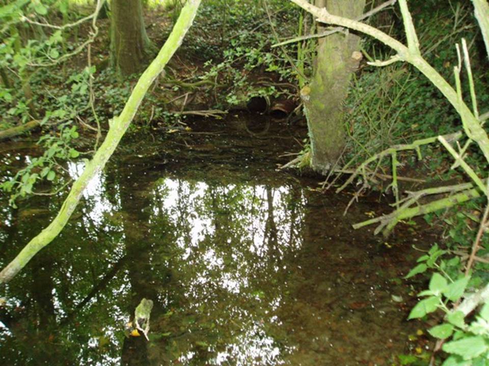 Holy Well, Haxey