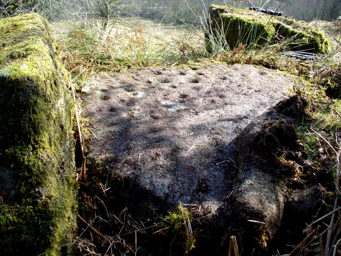 The Druidsfield 2 cup-marked stone