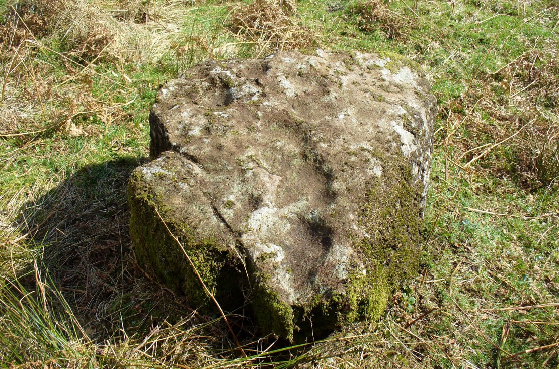The Druidsfield-3 carved stone