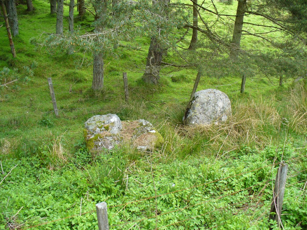 Remains of stones at Fourstanes