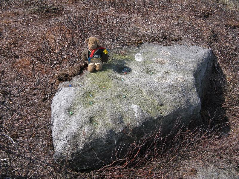 Teddy's very own cup-marked stone!