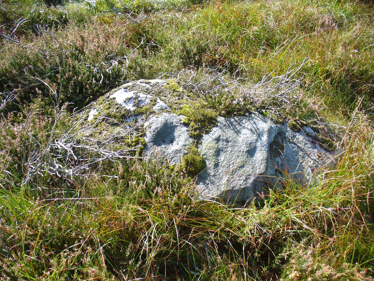 Stanbury HIll cup-marked rock