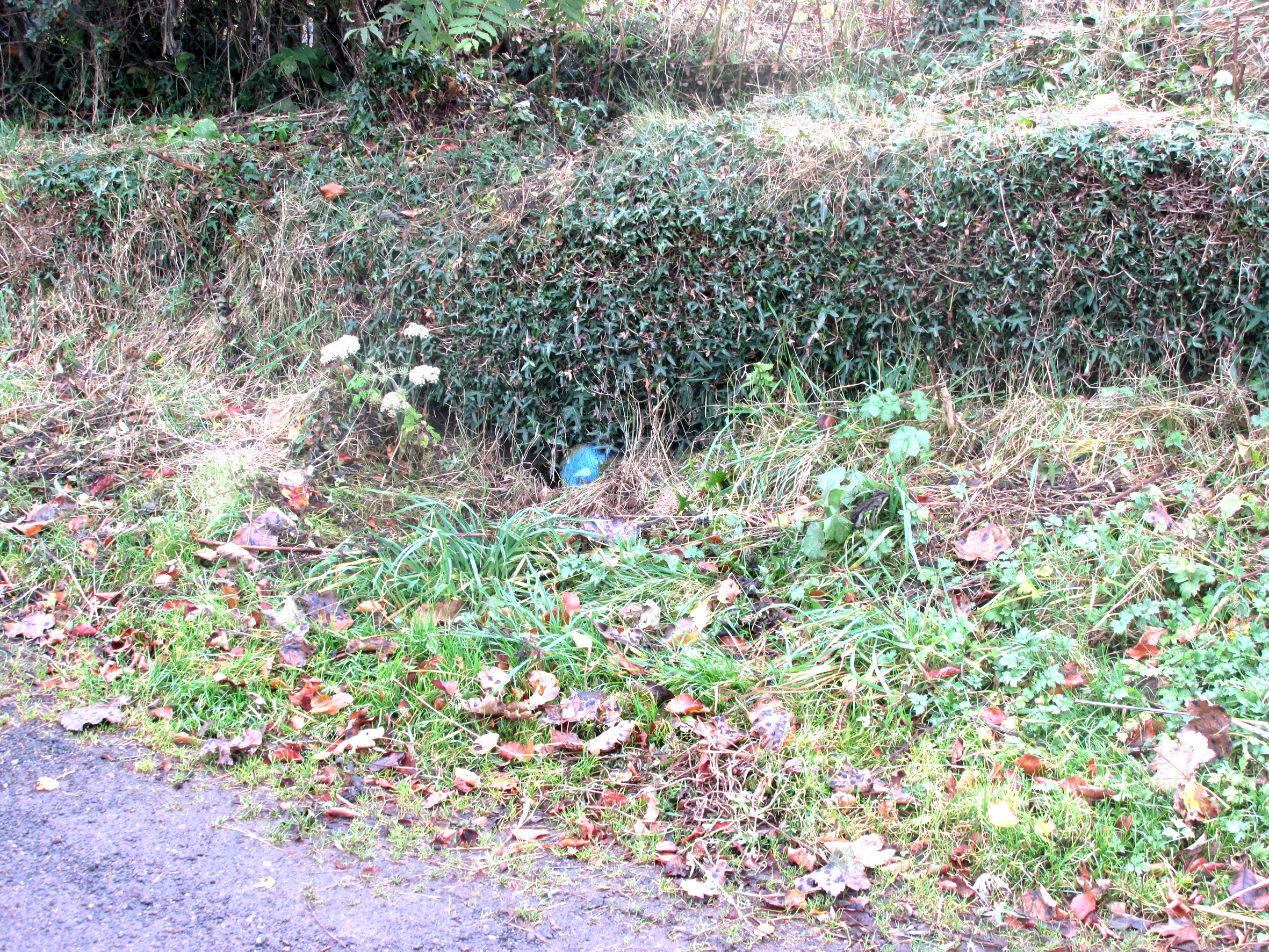 The Water from the well is piped to a roadside cistern in front of the blue painted stone