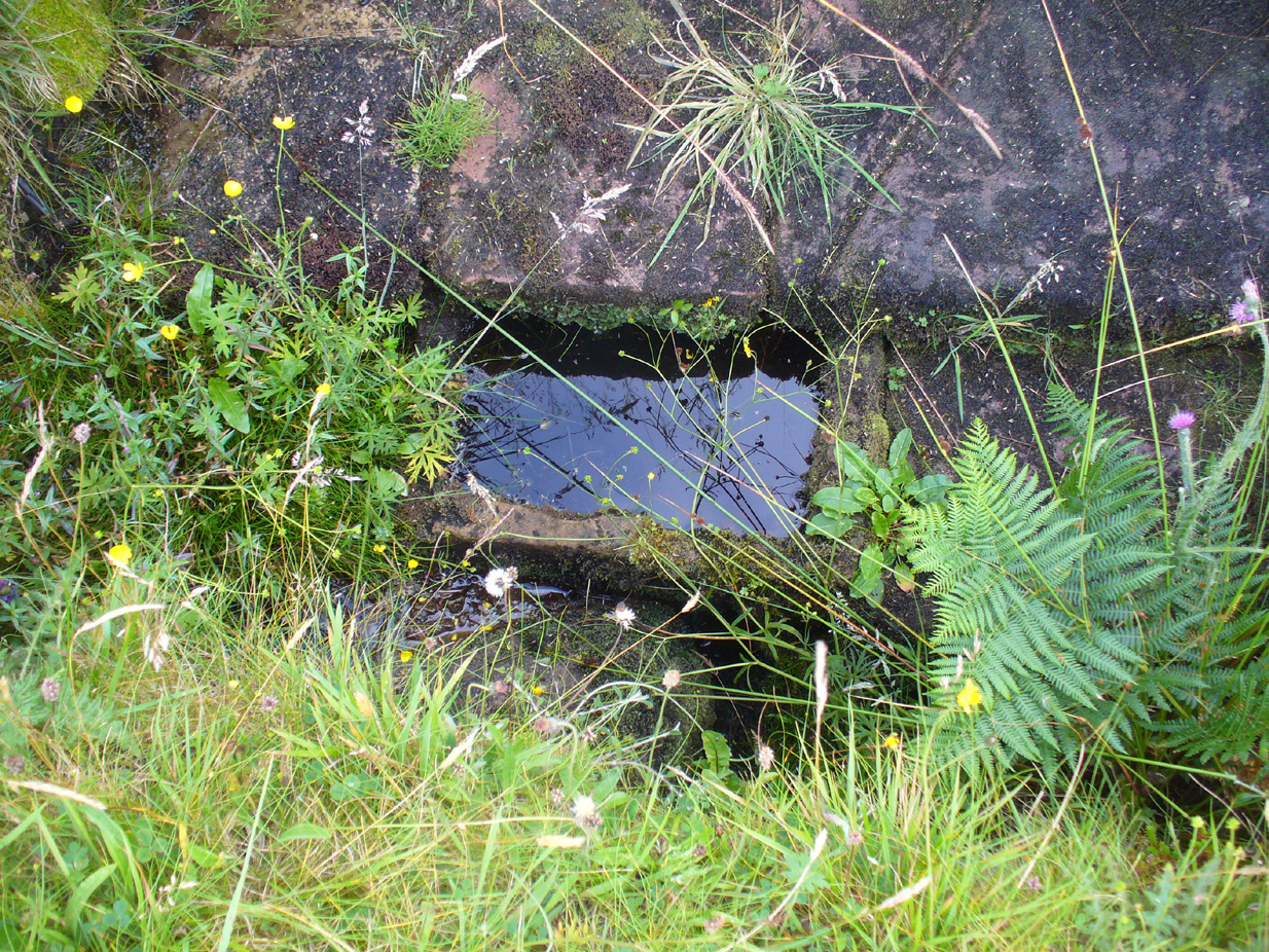 Secondary stone trough