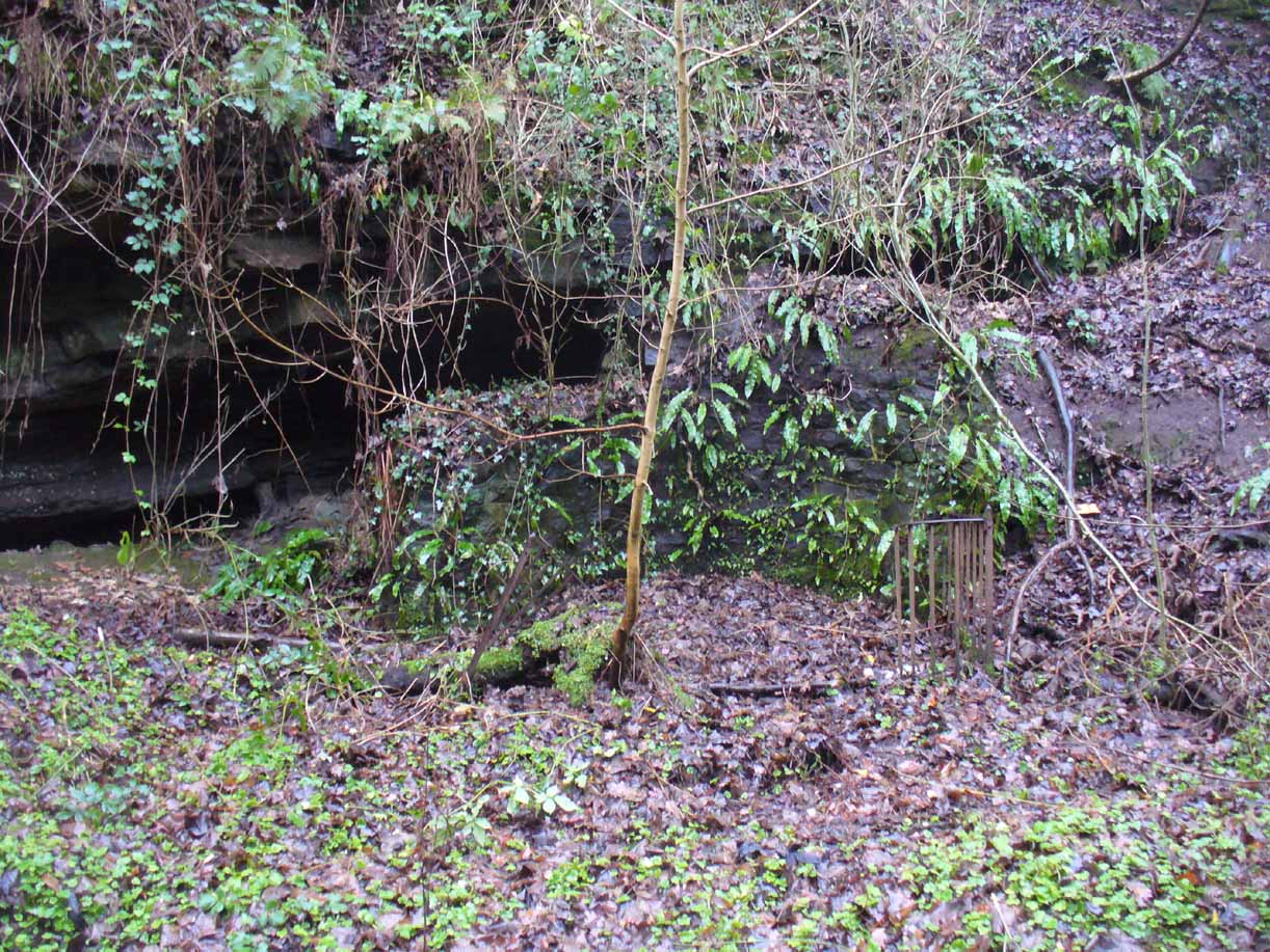Remains of the Borgie Well