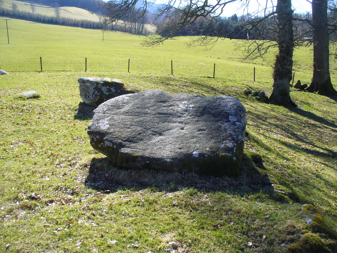 Stone D, with cupmarks