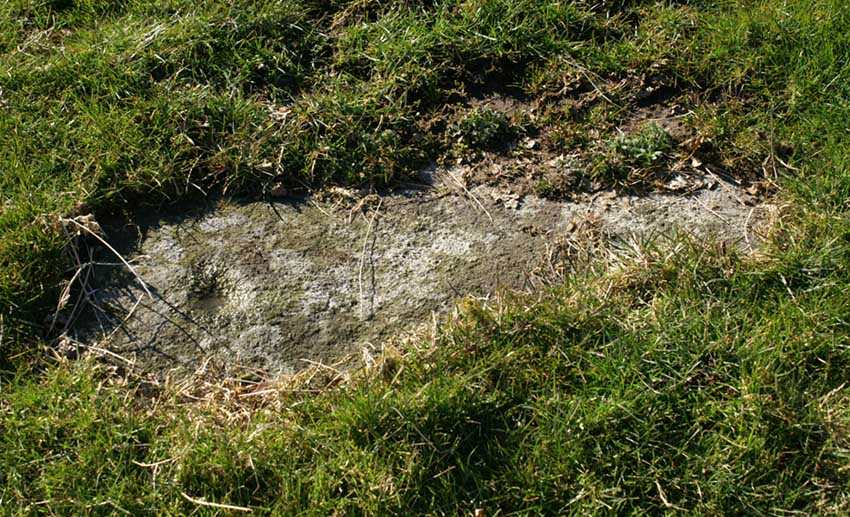 Single cup-marked stone in the field below Eastwoods Farm