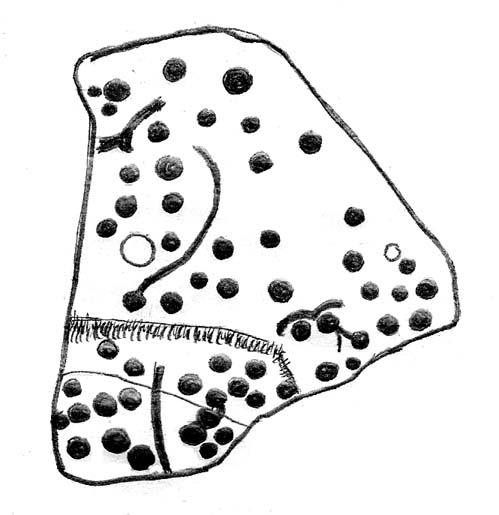 General Plan of Spotted Stone