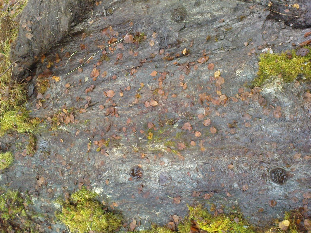Cup-markings on the Corrycharmaig East 4 stone