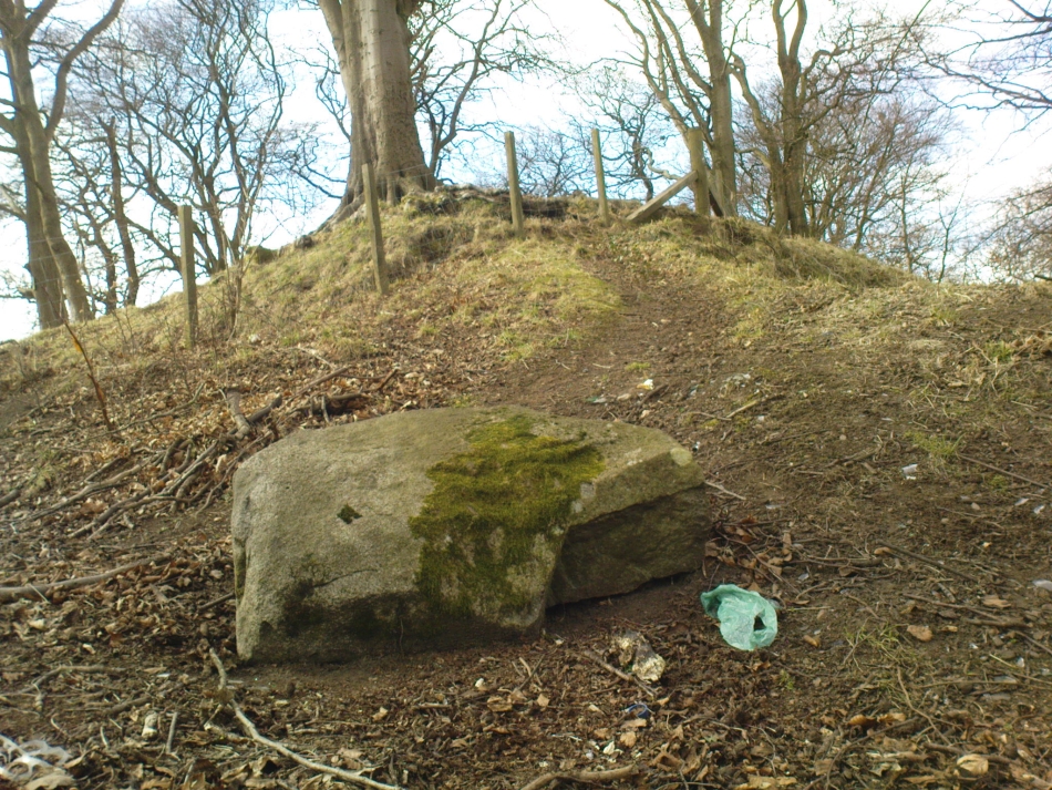 Remaining stone at the destroyed circle