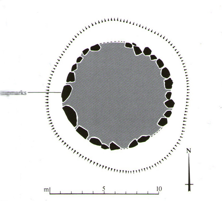 Plan of the Ninewells ring (after RCAHMS)