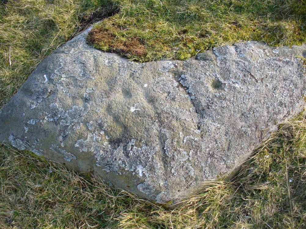 Lichen Stone, from above