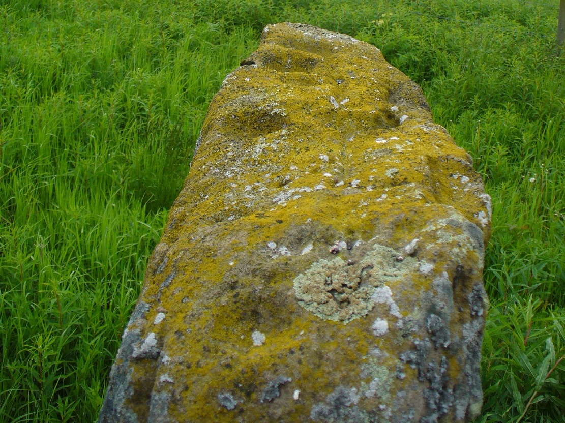Line of cup-marks on top of stone