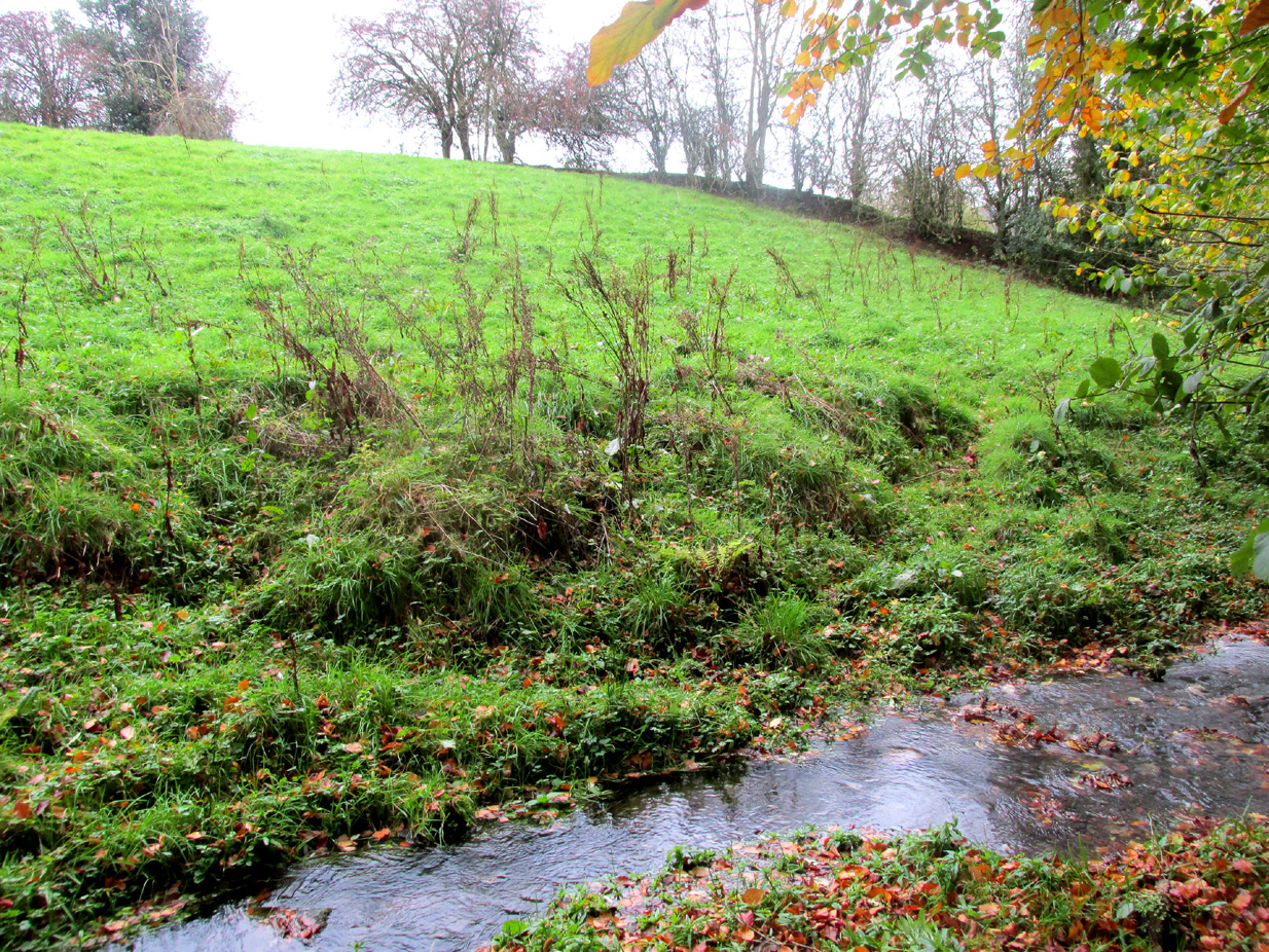 The ruined Well from across the burn