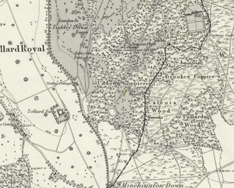 Old Pleck Barrow, Rushmore, Tollard Royal, Wiltshire