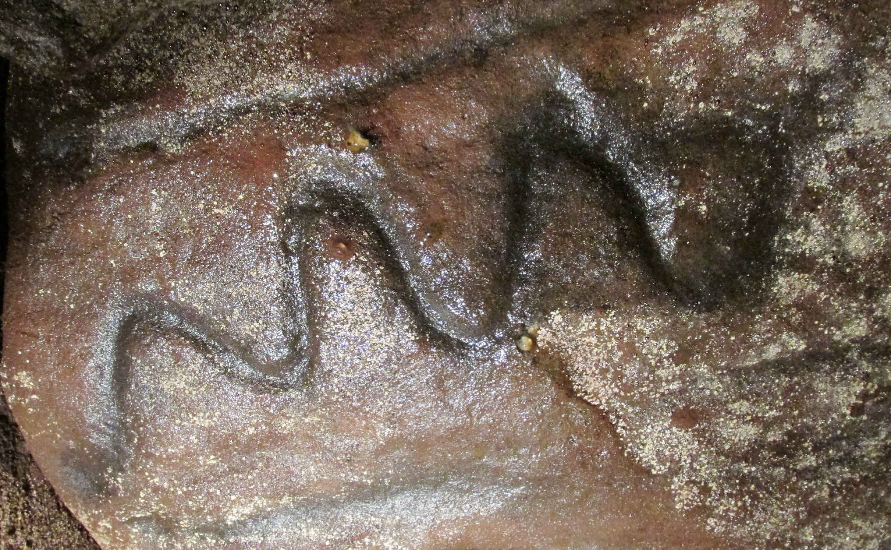 Serpent Stone carving
